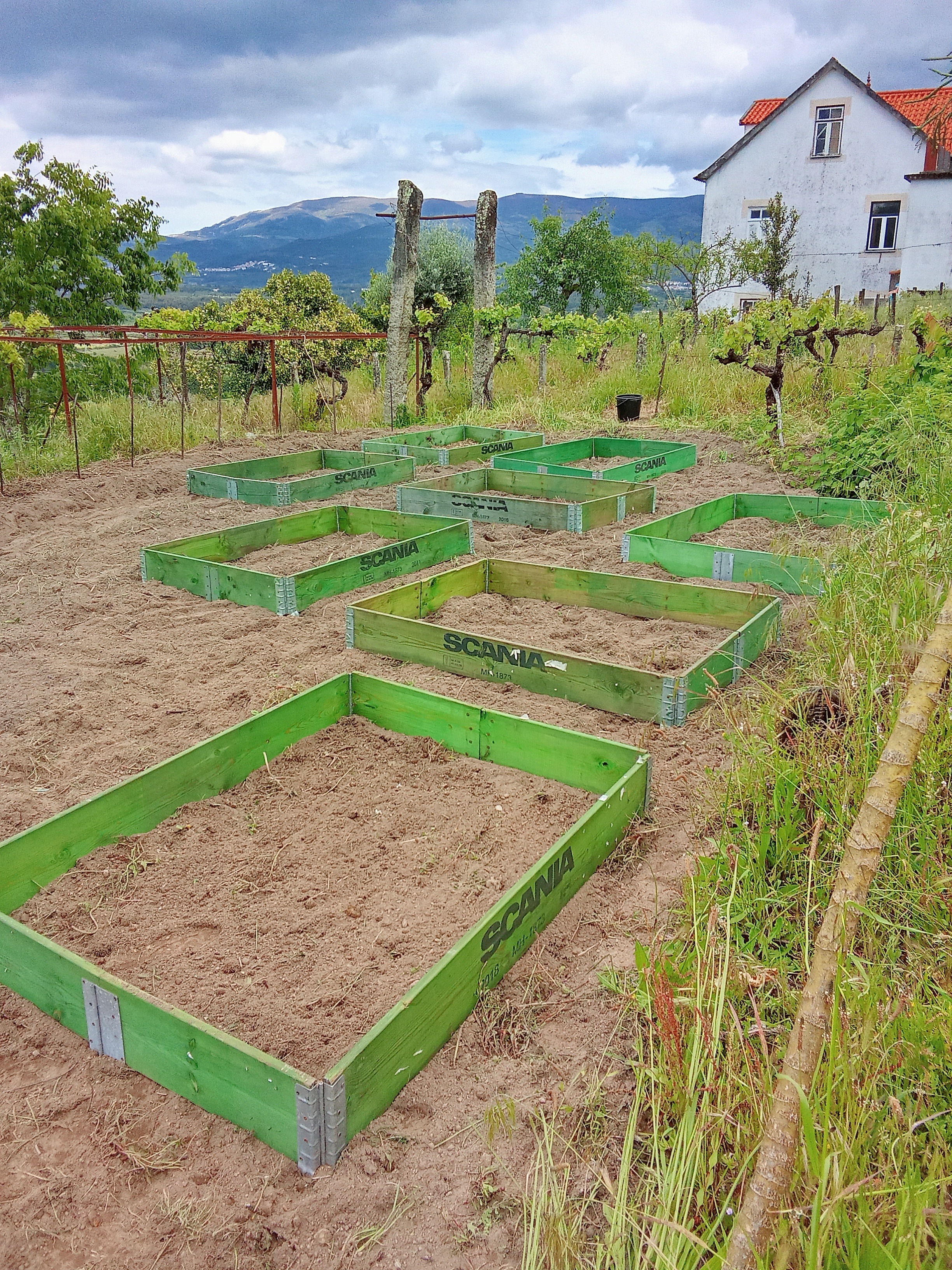 Horta biológica com canteiros elevados e vista para a serra