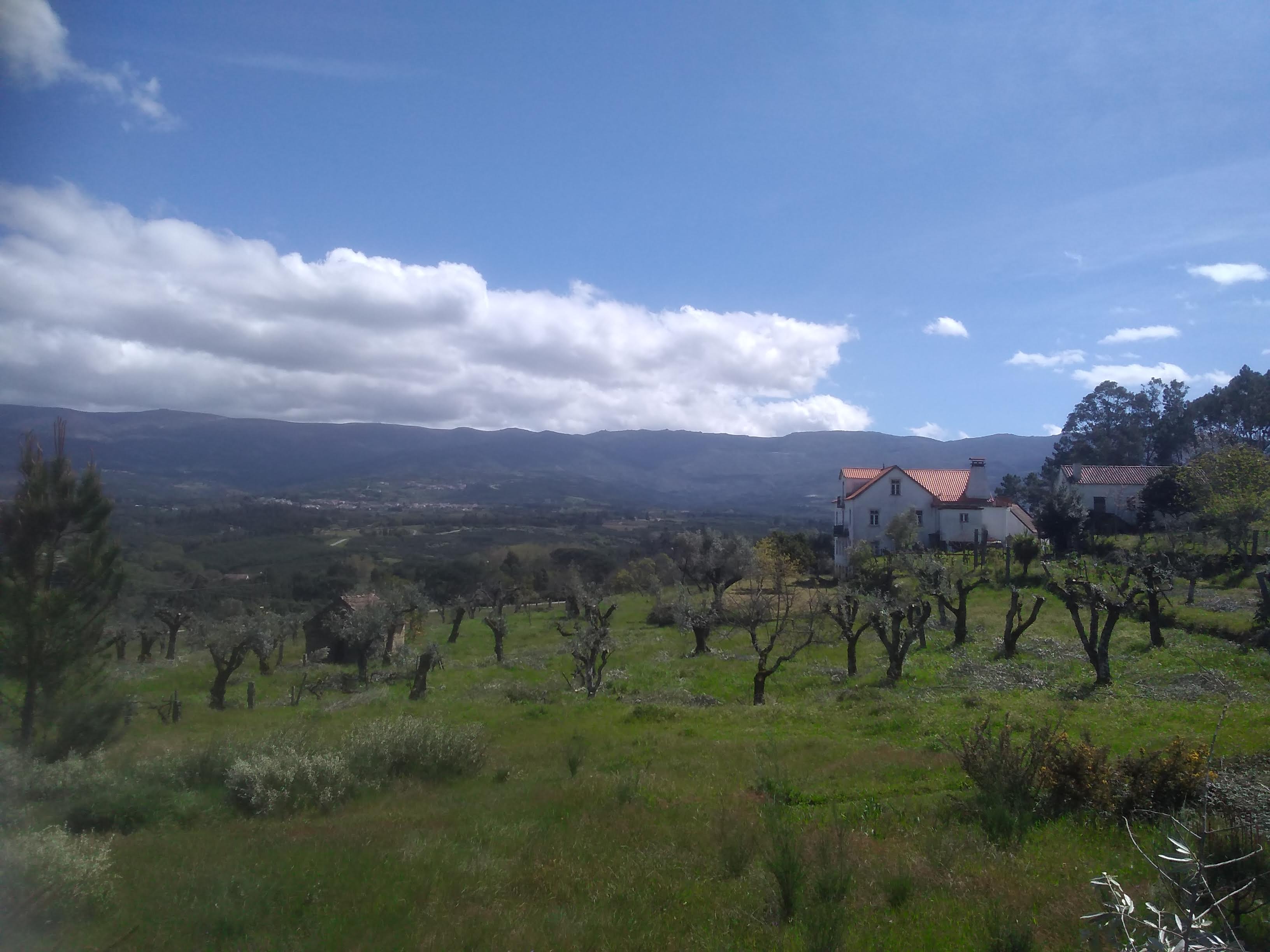 Vista da propriedade com oliveiras e montanhas ao fundo