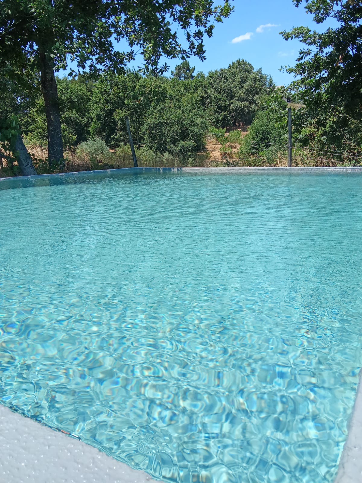 Piscina cristalina rodeada de carvalhos
